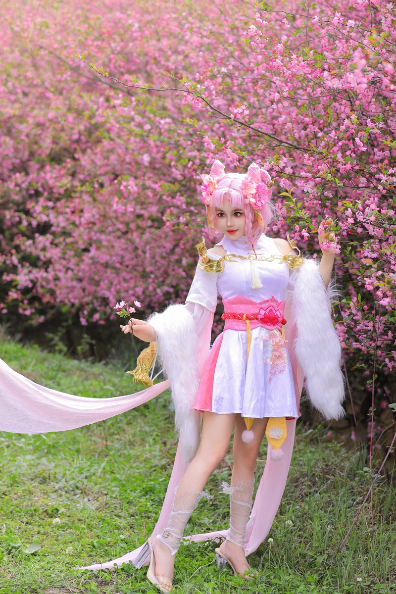 images_065